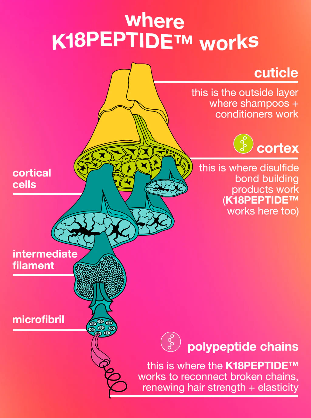 healthy volume minis