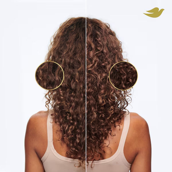 Dove Damage Therapy Anti-Frizz & Smooth Conditioner